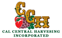 Cal Central Harvesting Incorporated
